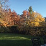 The view from the Lodge, November 2015 